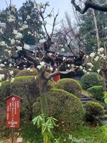 冠稲荷神社の自然