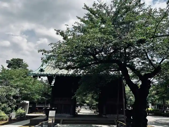 祐天寺(東京都)