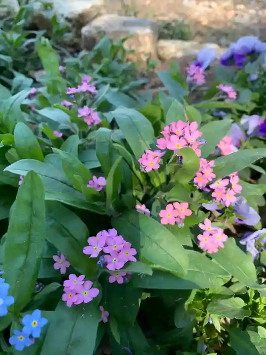 八幡神社(埼玉県)
