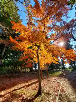 神炊館神社 ⁂奥州須賀川総鎮守⁂(福島県)