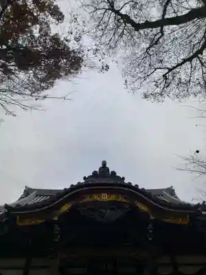蓮乗寺(東京都)