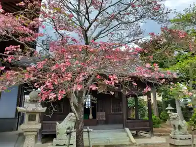 正覚院の本殿・本堂