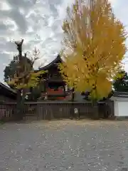 本願寺（西本願寺）の建物その他