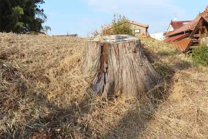 築地神社の自然