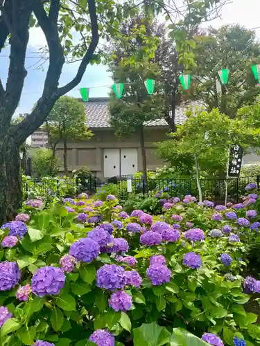 白山神社(東京都)