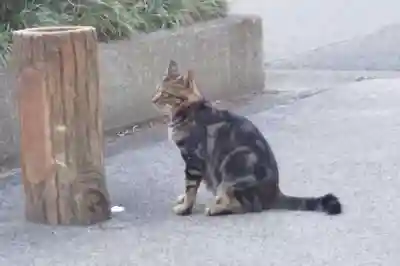 安楽寺(滋賀県)