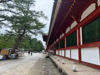 東大寺(奈良県)
