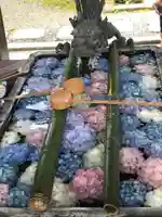 柳谷観音 楊谷寺の手水舎