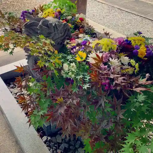 滑川神社 - 仕事と子どもの守り神の手水舎