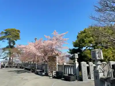 観音山慈眼院(高崎観音)の{uncategorized: "未分類", other: "その他", undefined: "問題あり", building: "その他建物", grave: "お墓", sacred_gate: "鳥居", guardian: "狛犬", statue: "像", buddha: "仏像", history: "歴史", nature: "自然", garden: "庭園", animal: "動物", pagoda: "塔", temizu: "手水舎", mountain_gate: "山門・神門", sanctuary: "本殿・本堂", subordinate: "末社・摂社", art: "芸術", scenery: "景色", jizo: "地蔵", ema: "絵馬", goshuin: "御朱印", omikuji: "おみくじ", items: "授与品その他", amulet: "お守り", goshuincho: "御朱印帳", eats: "食事", festival: "お祭り", votive_dance: "神楽", shichigosan: "七五三参", wedding: "結婚式", experience: "体験その他", initially: "初詣", around: "周辺", anti_infection: "感染症対策"}