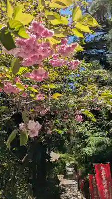 成相寺(京都府)