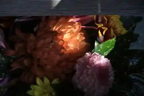 豊景神社の手水舎