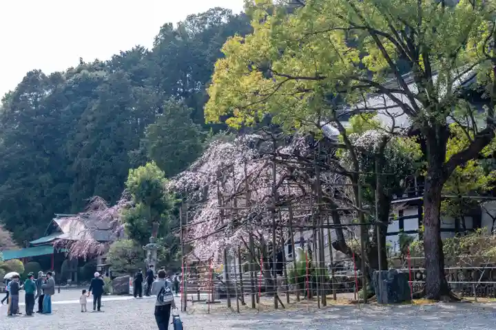近江神宮(滋賀県)