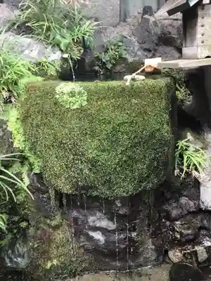 出雲大社埼玉分院の手水舎