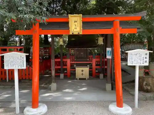 賀茂御祖神社（下鴨神社）の末社