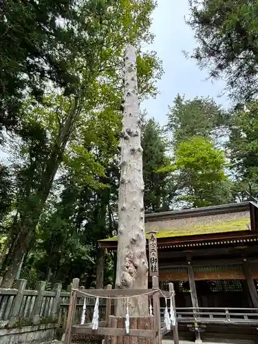 諏訪大社下社春宮(長野県)