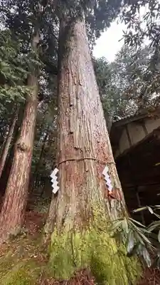 都祁水分神社(奈良県)