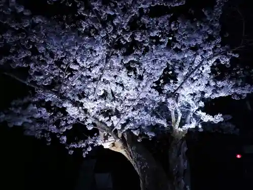 知恩院(京都府)