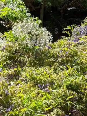 長慶院(京都府)