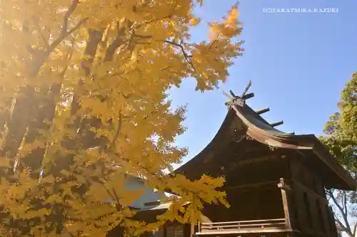 葛飾八幡宮の本殿・本堂