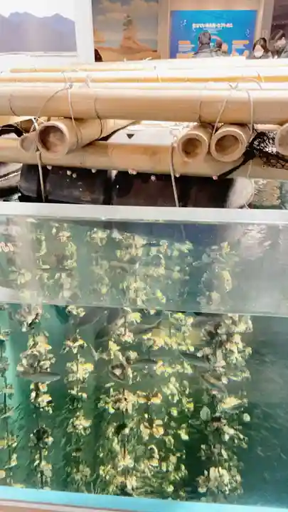 大願寺(広島県)