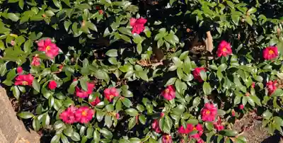 愛宕神社(福島県)
