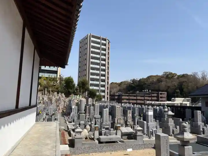 廣智寺(観音廣智勝幢禅寺)(大阪府)
