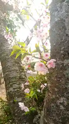 白山神社(香川県)