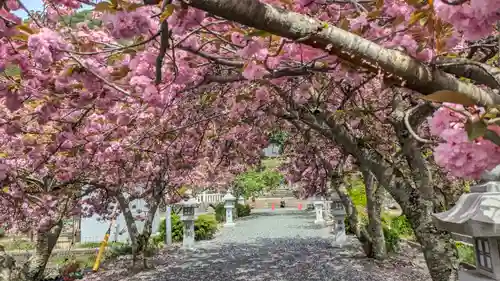 伊香具神社(滋賀県)