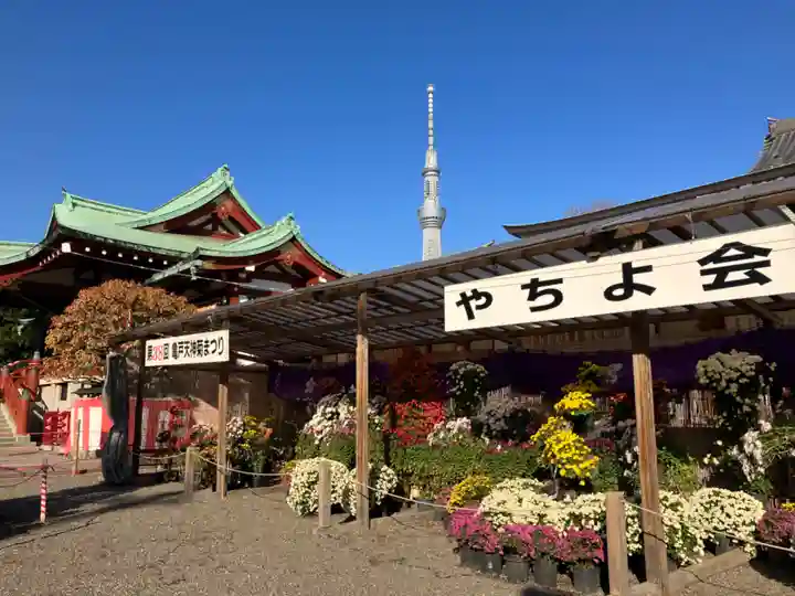 亀戸天神社(東京都)