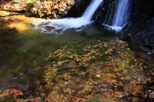隠津島神社の自然