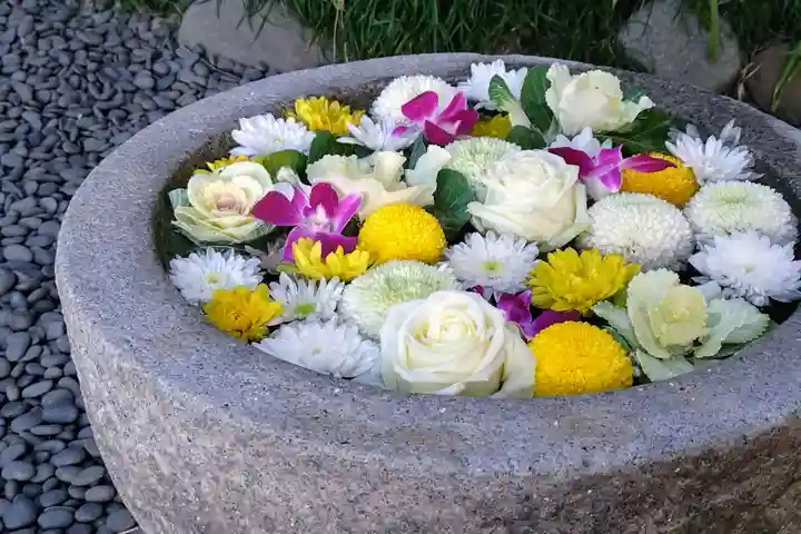 菅生神社(愛知県)