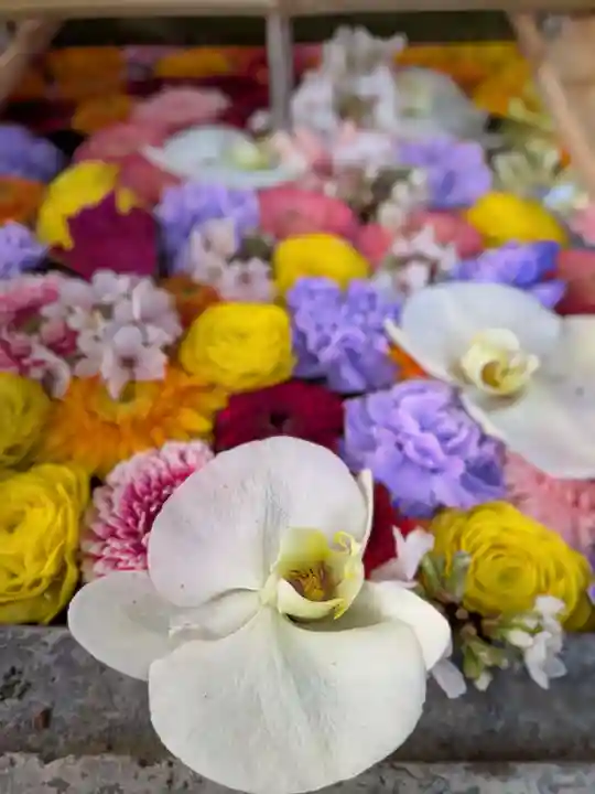下谷神社(東京都)