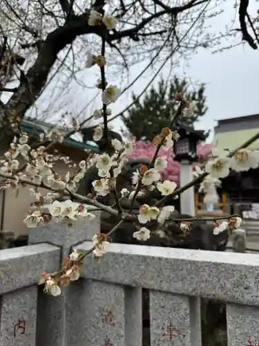 新宿下落合氷川神社(東京都)