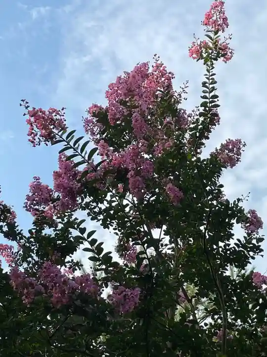 大生郷天満宮の自然