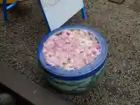 上尾御嶽神社の手水舎