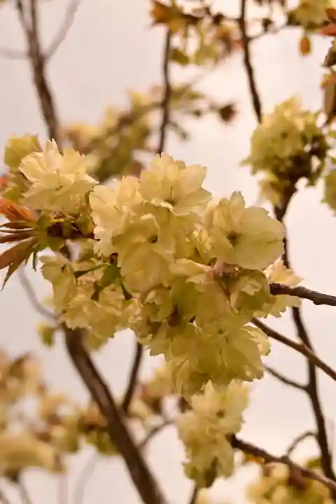 瀧湖寺(香川県)