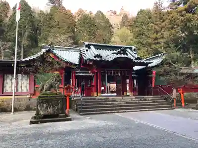 箱根神社の本殿・本堂
