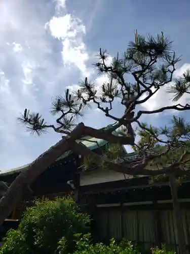 本郷氷川神社(東京都)
