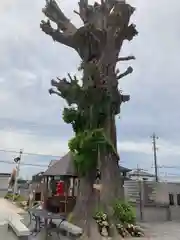 清福寺(埼玉県)