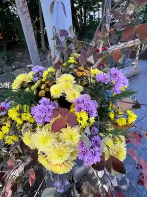 東海市熊野神社の手水舎