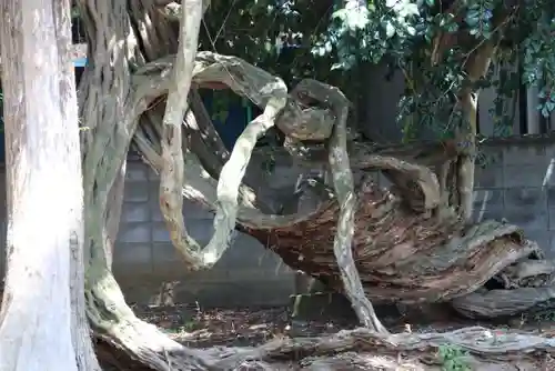 藤稲荷神社の自然