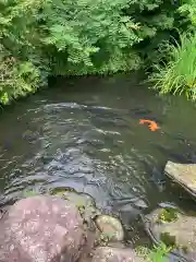 大聖寺（土浦大師不動尊）の庭園