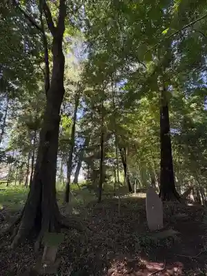間々田八幡宮(栃木県)
