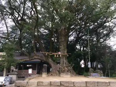 青井阿蘇神社(熊本県)
