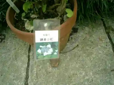 光則寺のその他建物