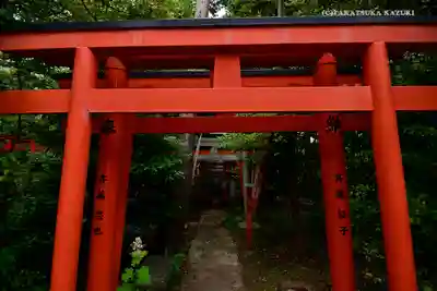 東伏見稲荷神社の鳥居