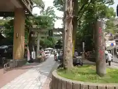 亀岡八幡宮（亀岡八幡神社）の鳥居