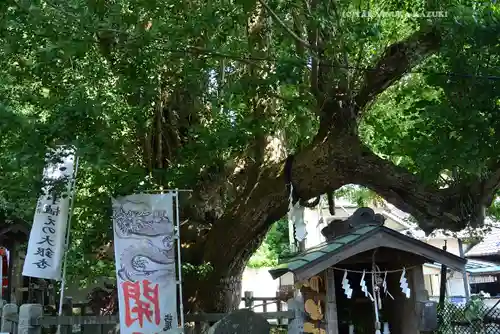 海南神社(神奈川県)