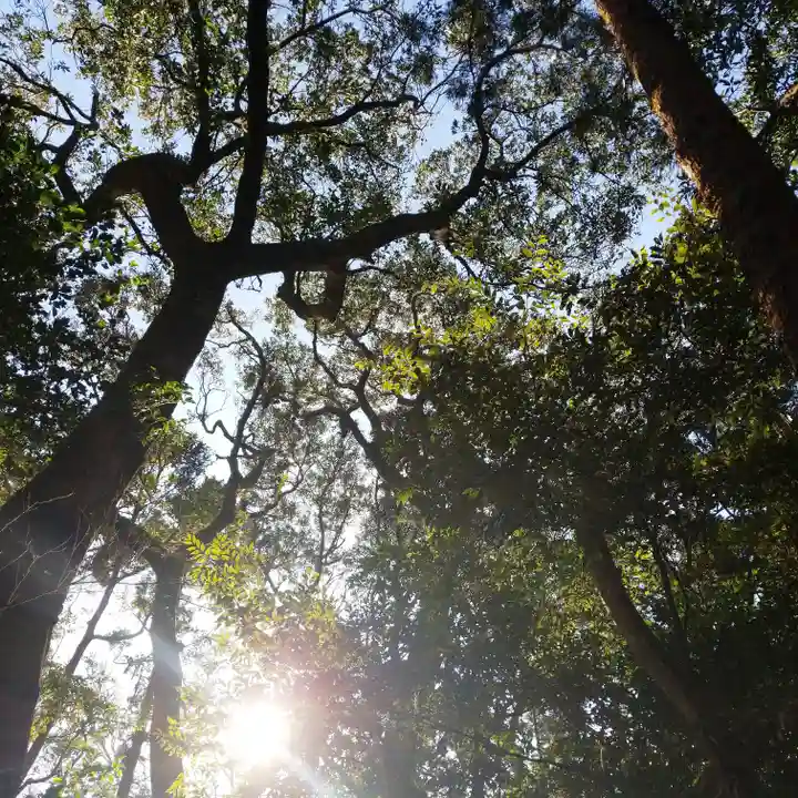 白幡神社の自然